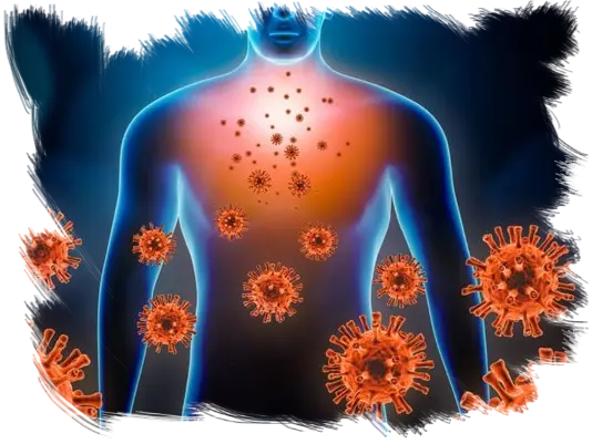 Genoxidil sistema inmune 